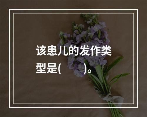 该患儿的发作类型是(　　)。