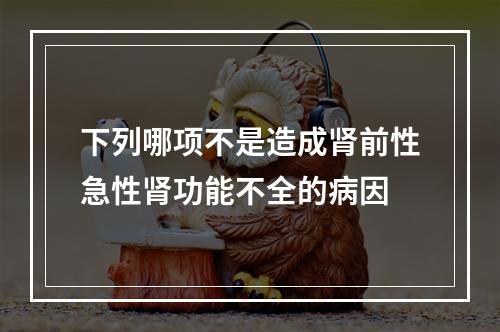 下列哪项不是造成肾前性急性肾功能不全的病因