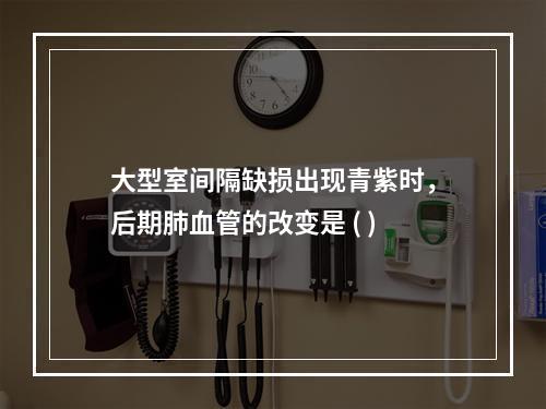 大型室间隔缺损出现青紫时，后期肺血管的改变是 ( )