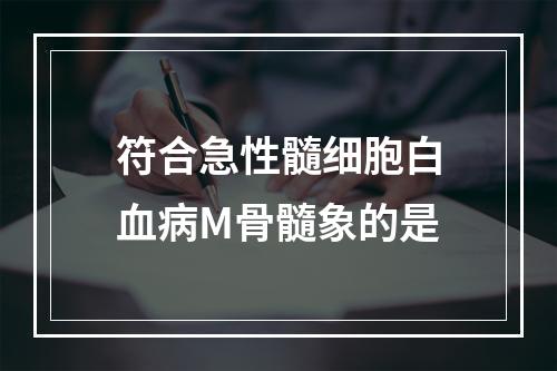 符合急性髓细胞白血病M骨髓象的是