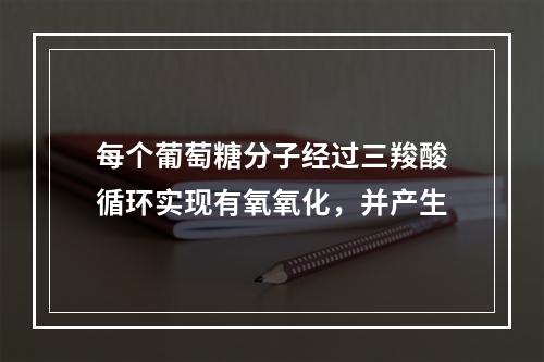 每个葡萄糖分子经过三羧酸循环实现有氧氧化，并产生