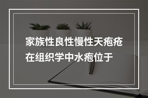 家族性良性慢性天疱疮在组织学中水疱位于