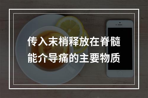 传入末梢释放在脊髓能介导痛的主要物质