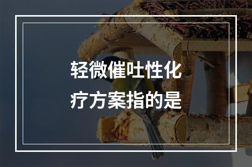 轻微催吐性化疗方案指的是