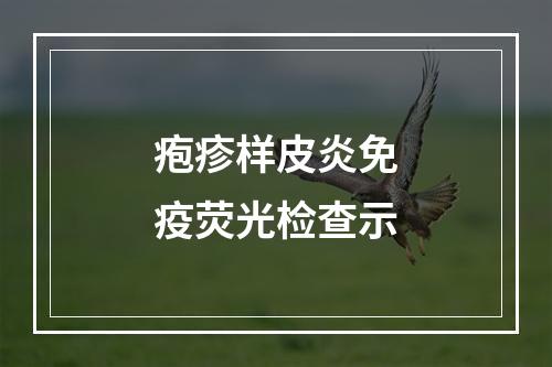 疱疹样皮炎免疫荧光检查示