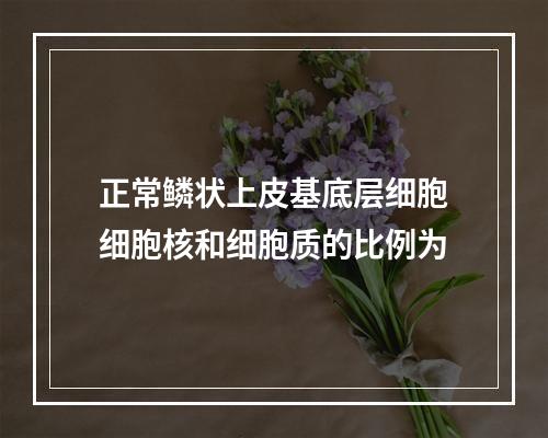 正常鳞状上皮基底层细胞细胞核和细胞质的比例为