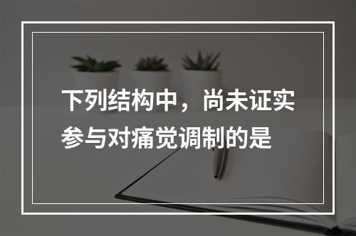 下列结构中，尚未证实参与对痛觉调制的是