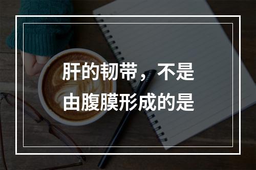 肝的韧带，不是由腹膜形成的是