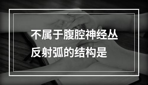 不属于腹腔神经丛反射弧的结构是