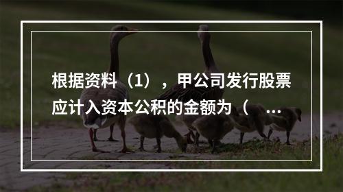 根据资料（1），甲公司发行股票应计入资本公积的金额为（　）万