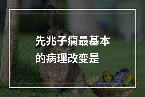 先兆子痫最基本的病理改变是