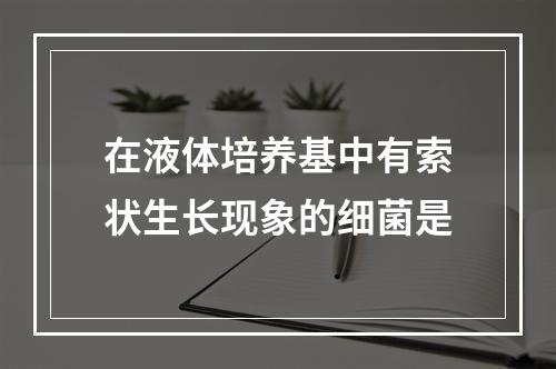 在液体培养基中有索状生长现象的细菌是