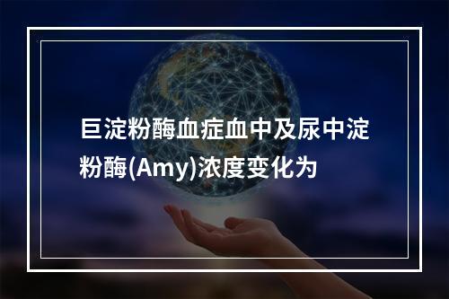 巨淀粉酶血症血中及尿中淀粉酶(Amy)浓度变化为