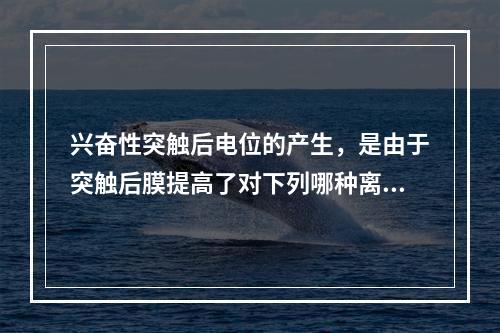 兴奋性突触后电位的产生，是由于突触后膜提高了对下列哪种离子