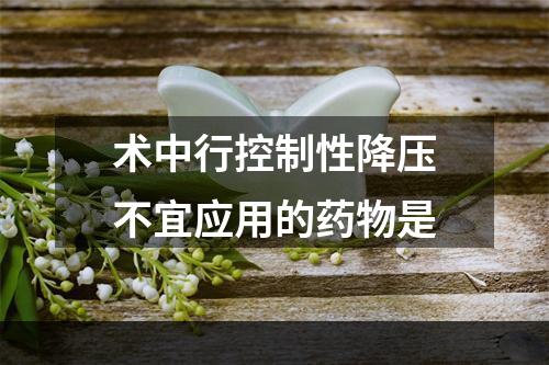 术中行控制性降压不宜应用的药物是