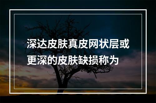 深达皮肤真皮网状层或更深的皮肤缺损称为