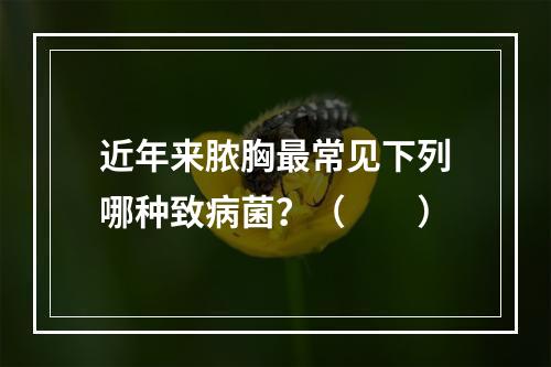 近年来脓胸最常见下列哪种致病菌？（　　）