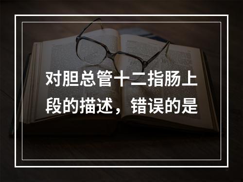 对胆总管十二指肠上段的描述，错误的是