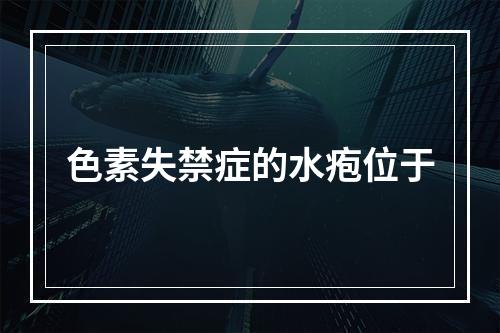 色素失禁症的水疱位于