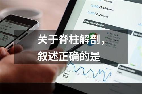 关于脊柱解剖，叙述正确的是