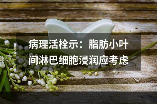 病理活栓示：脂肪小叶间淋巴细胞浸润应考虑