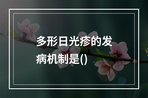 多形日光疹的发病机制是()