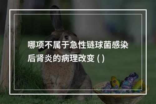 哪项不属于急性链球菌感染后肾炎的病理改变 ( )