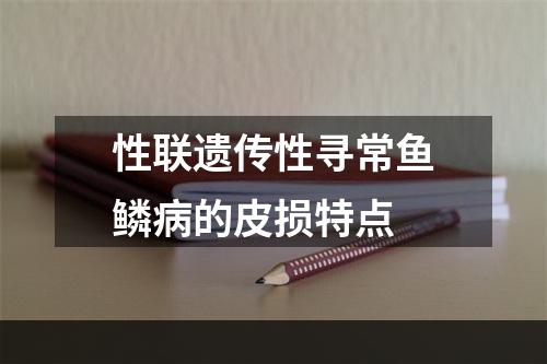 性联遗传性寻常鱼鳞病的皮损特点