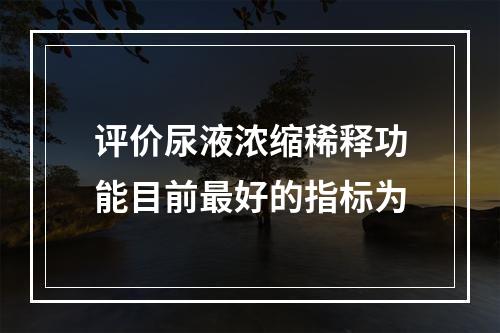 评价尿液浓缩稀释功能目前最好的指标为