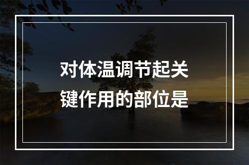 对体温调节起关键作用的部位是