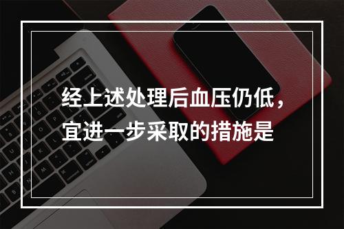 经上述处理后血压仍低，宜进一步采取的措施是