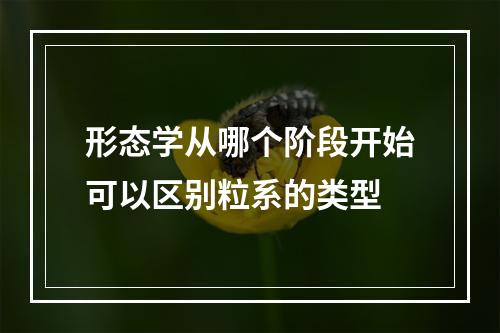 形态学从哪个阶段开始可以区别粒系的类型