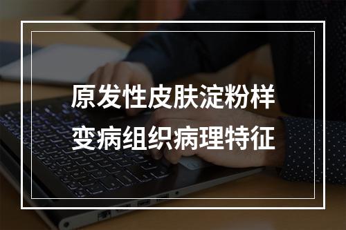 原发性皮肤淀粉样变病组织病理特征