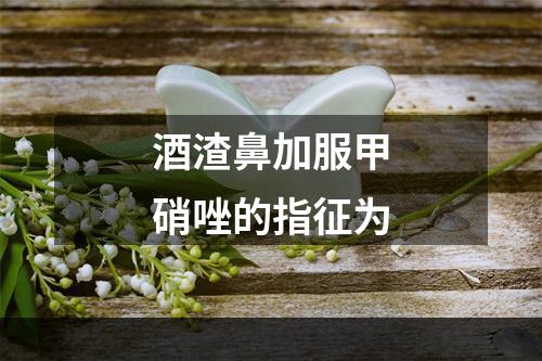 酒渣鼻加服甲硝唑的指征为