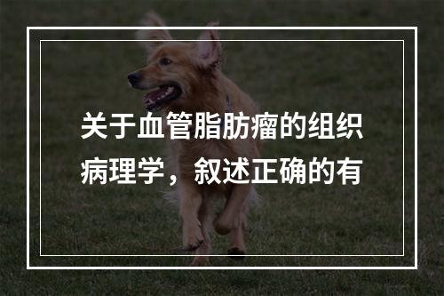 关于血管脂肪瘤的组织病理学，叙述正确的有