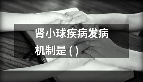 肾小球疾病发病机制是 ( )