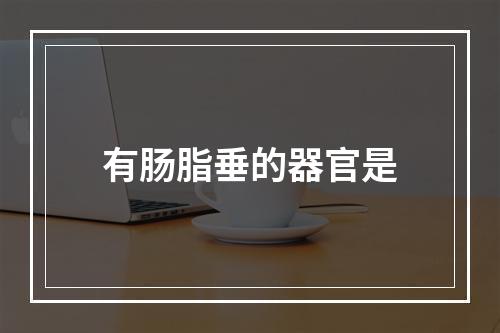 有肠脂垂的器官是