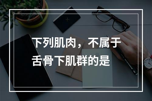 下列肌肉，不属于舌骨下肌群的是