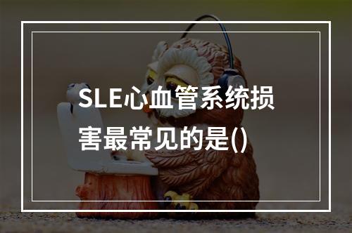 SLE心血管系统损害最常见的是()