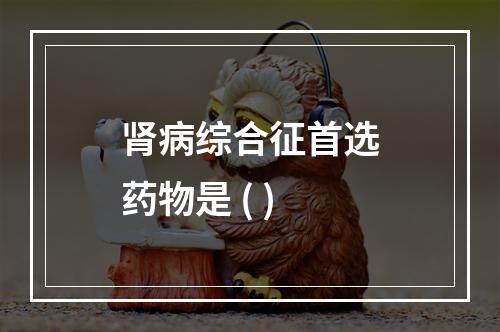 肾病综合征首选药物是 ( )