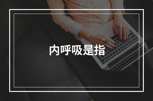 内呼吸是指