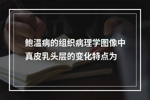 鲍温病的组织病理学图像中真皮乳头层的变化特点为