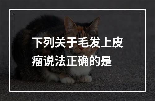 下列关于毛发上皮瘤说法正确的是