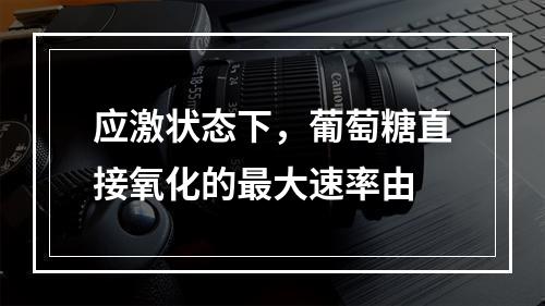 应激状态下，葡萄糖直接氧化的最大速率由