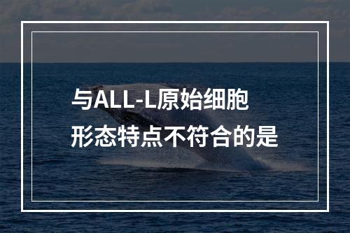 与ALL-L原始细胞形态特点不符合的是