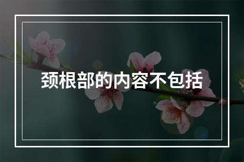 颈根部的内容不包括