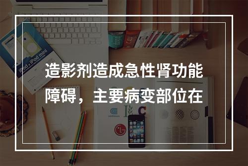 造影剂造成急性肾功能障碍，主要病变部位在