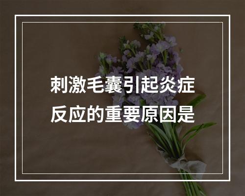 刺激毛囊引起炎症反应的重要原因是