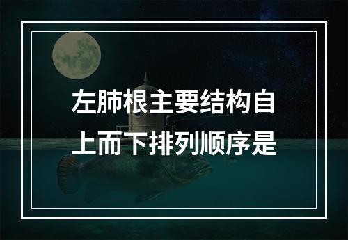 左肺根主要结构自上而下排列顺序是