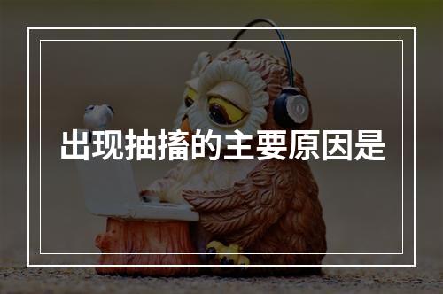 出现抽搐的主要原因是